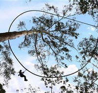 TreeTops Crazy Rider - Accommodation Mooloolaba