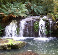 Barrington Tops National Park Walks - Accommodation Mooloolaba