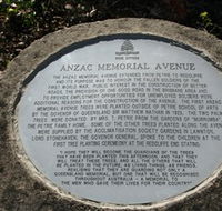 Anzac Memorial Avenue Redcliffe - Accommodation Mooloolaba