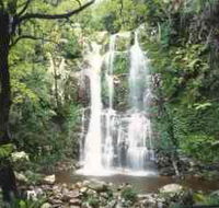 Budderoo National Park - The Falls Walk - Accommodation Mooloolaba