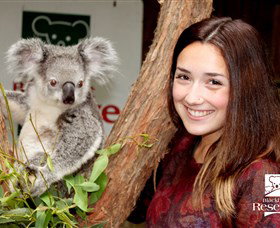 New Lambton NSW Accommodation Mooloolaba