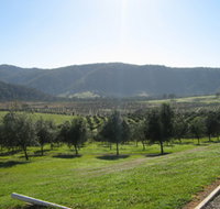 Hastings Valley Olives - Accommodation Mooloolaba