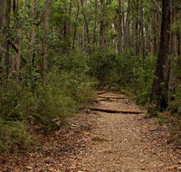 Pigeon House Mountain Didthul walking track - Accommodation Mooloolaba