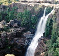 Minnamurra Rainforest Centre Budderoo National Park - Accommodation Mooloolaba