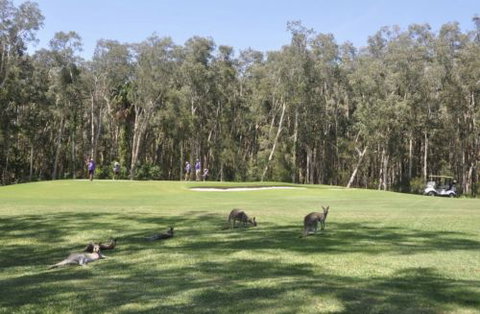 Emerald Downs Golf Course - Accommodation Mooloolaba 4