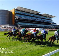 Royal Randwick Racecourse - Accommodation Mooloolaba