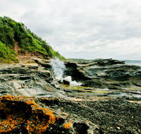 Glenrock State Conservation Area - Accommodation Mooloolaba