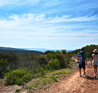 Moonee Beach trail - Accommodation Mooloolaba