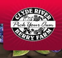 Clyde River Berry Farm - Accommodation Mooloolaba