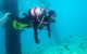 Shellharbour Scuba & Photography Centre - thumb 0