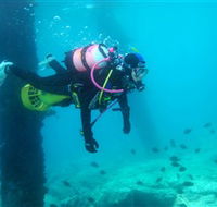 Shellharbour Scuba  Photography Centre - Accommodation Mooloolaba