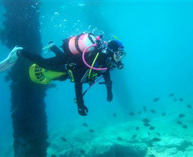 Shellharbour Scuba & Photography Centre - Accommodation Mooloolaba 0