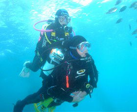 Shellharbour Scuba & Photography Centre - Accommodation Mooloolaba 1