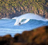 Killalea Beach - Accommodation Mooloolaba