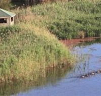 Spring Creek Wetlands Walk - Accommodation Mooloolaba