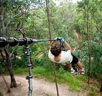 TreeTop Challenge - Accommodation Mooloolaba