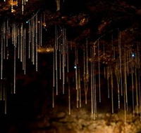 Tamborine Mountain Glow Worm Caves - Accommodation Mooloolaba