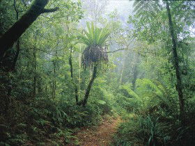 Wagawn - Accommodation Mooloolaba 0