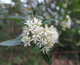 Booderee National Park Botanic Gardens - Accommodation Mooloolaba 1
