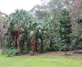 Booderee National Park Botanic Gardens - Accommodation Mooloolaba 4