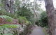 Booderee National Park Botanic Gardens - thumb 3