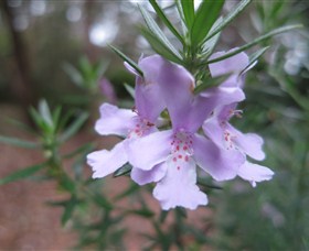 Booderee National Park Botanic Gardens - Accommodation Mooloolaba 5