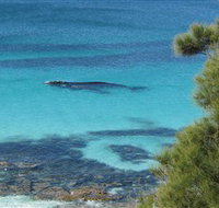 Jervis Bay Marine Park - Accommodation Mooloolaba