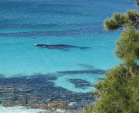 Jervis Bay Marine Park - Accommodation Mooloolaba 0