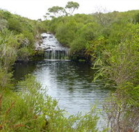 Booderee National Park Green Patch and Telegraph Creek Walking Tracks - Accommodation Mooloolaba