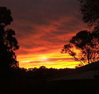 Tinonee Museum - Accommodation Mooloolaba