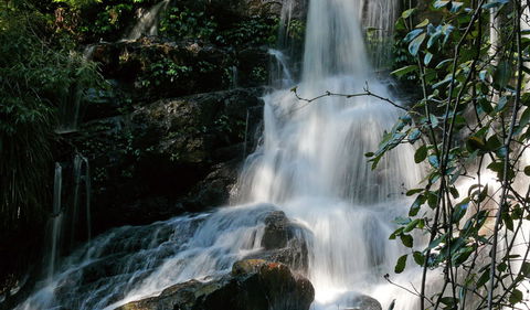 Bangalore Falls Walking Track - Accommodation Mooloolaba 3