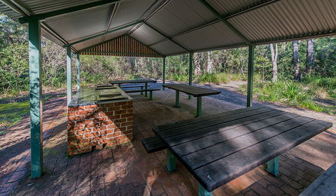 Brimbin Nature Reserve - Accommodation Mooloolaba 1