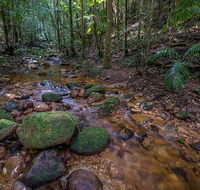 Starrs Creek picnic area - Accommodation Mooloolaba