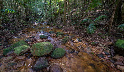 Starrs Creek Picnic Area - Accommodation Mooloolaba 0
