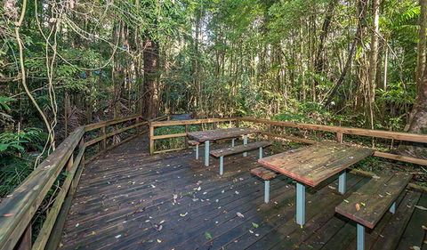 Starrs Creek Picnic Area - Accommodation Mooloolaba 1