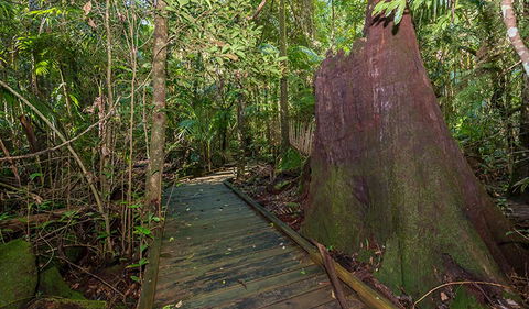 Starrs Creek Picnic Area - Accommodation Mooloolaba 2