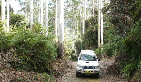 Bindarri National Park - Accommodation Mooloolaba 2