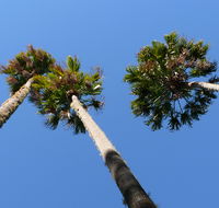 Bindarri National Park - Accommodation Mooloolaba