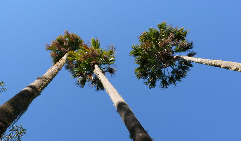 Bindarri National Park - Accommodation Mooloolaba 0