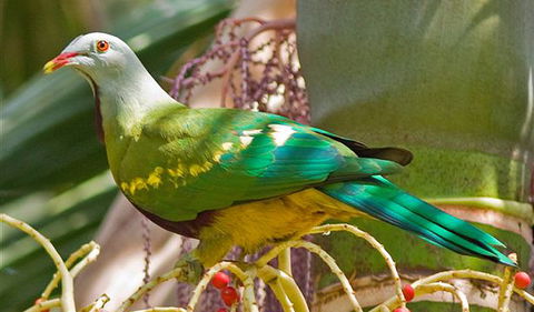 Bindarri National Park - Accommodation Mooloolaba 3