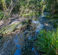 Dawson River walking track - Accommodation Mooloolaba