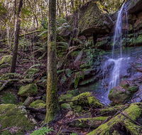 Coorabakh National Park - Accommodation Mooloolaba