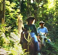 Clarendon Forest Retreat Horse Riding - Accommodation Mooloolaba