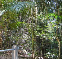 Goorgana walking track - Accommodation Mooloolaba