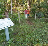 Coramba Nature Reserve - Accommodation Mooloolaba