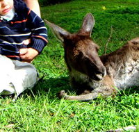 Bunbury Wildlife Park - Accommodation Mooloolaba