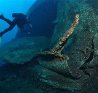 Cementco Dive Site - Accommodation Mooloolaba