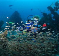Aarhus Dive Site - Accommodation Mooloolaba