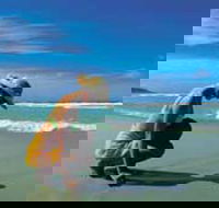 Diamond Beach - Accommodation Mooloolaba