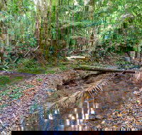Ulidarra National Park - Accommodation Mooloolaba